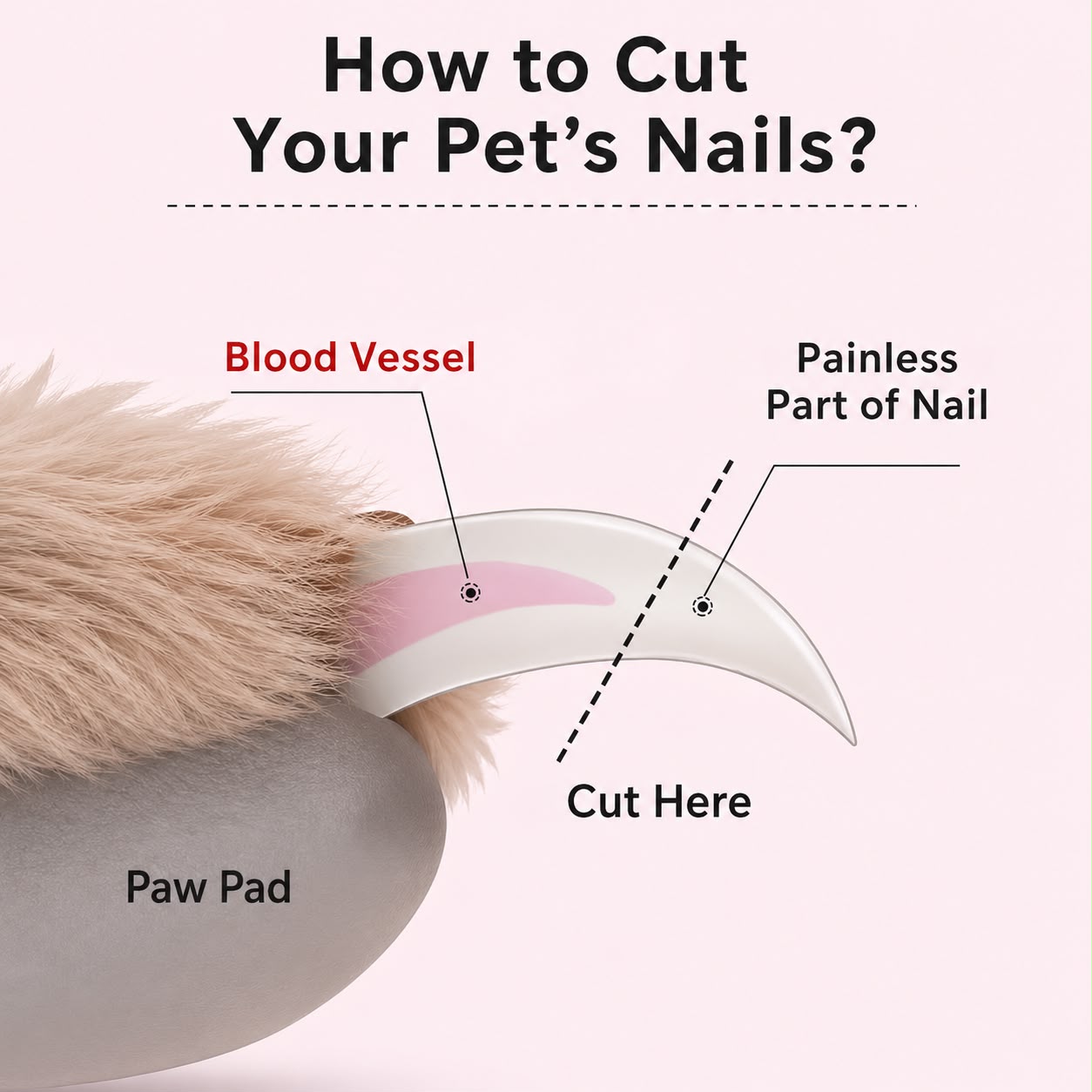 2-in-1 Pet Nail Clipper & Grinder with LED Light